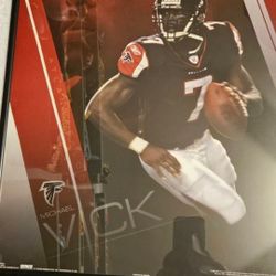 Michael Vick Framed Picture 