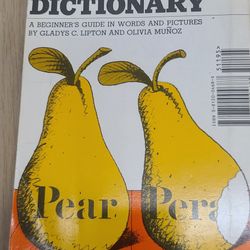 Spanish Bilingual Dictionary Book