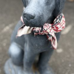 Beautiful Concrete Labrador Lawn Garden Statue
