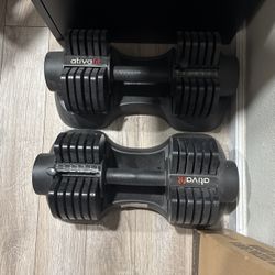 Weights 