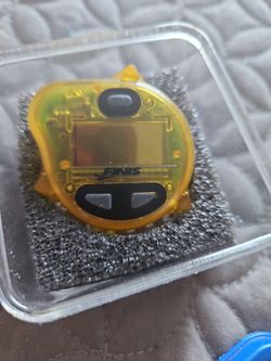 Swimming Timer