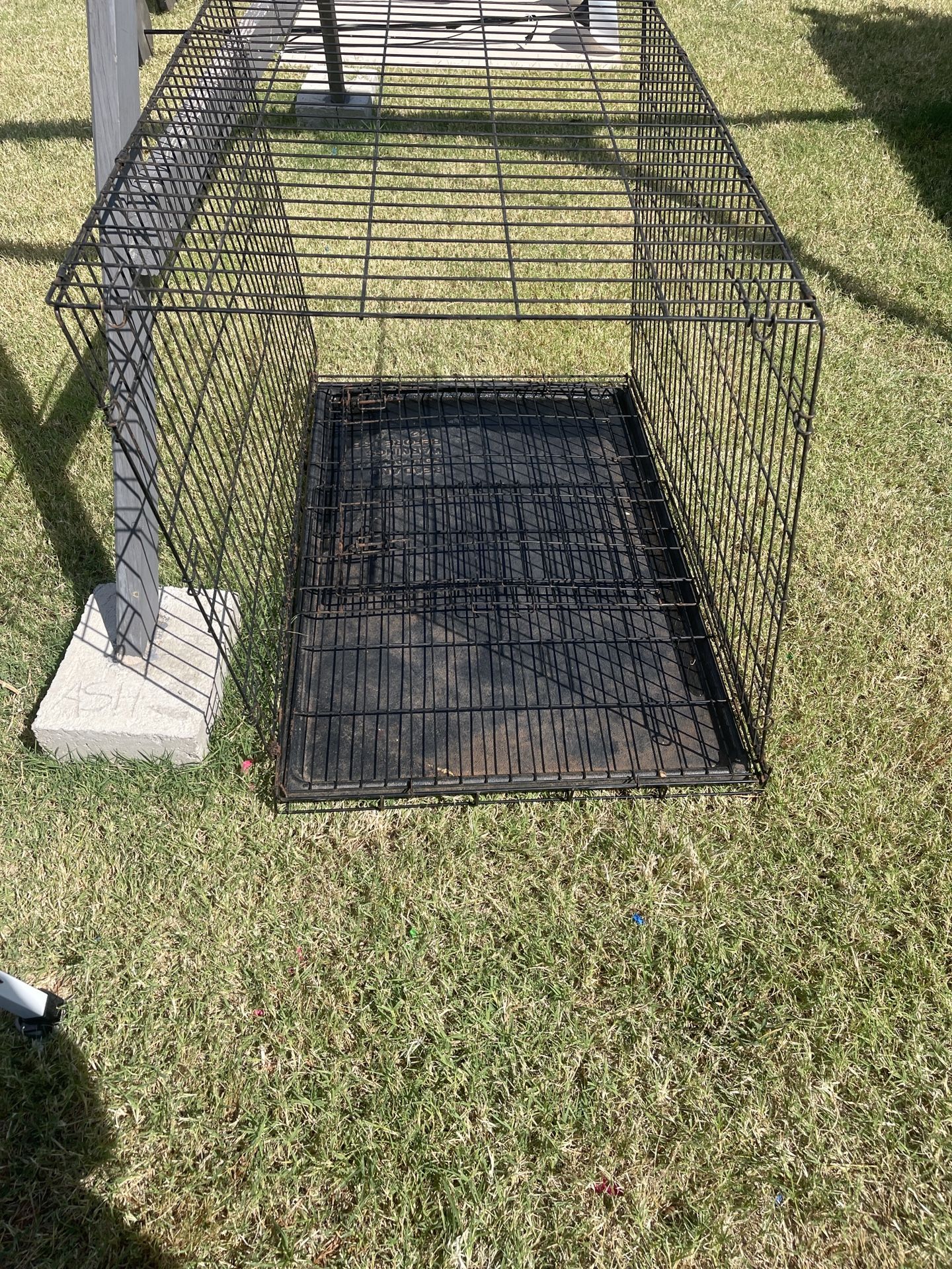 Kennel
