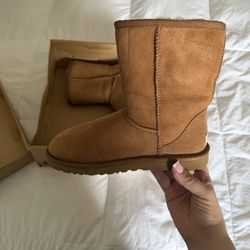 UGG Classic Short
