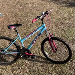 24 Inch Girls 18 Speed 