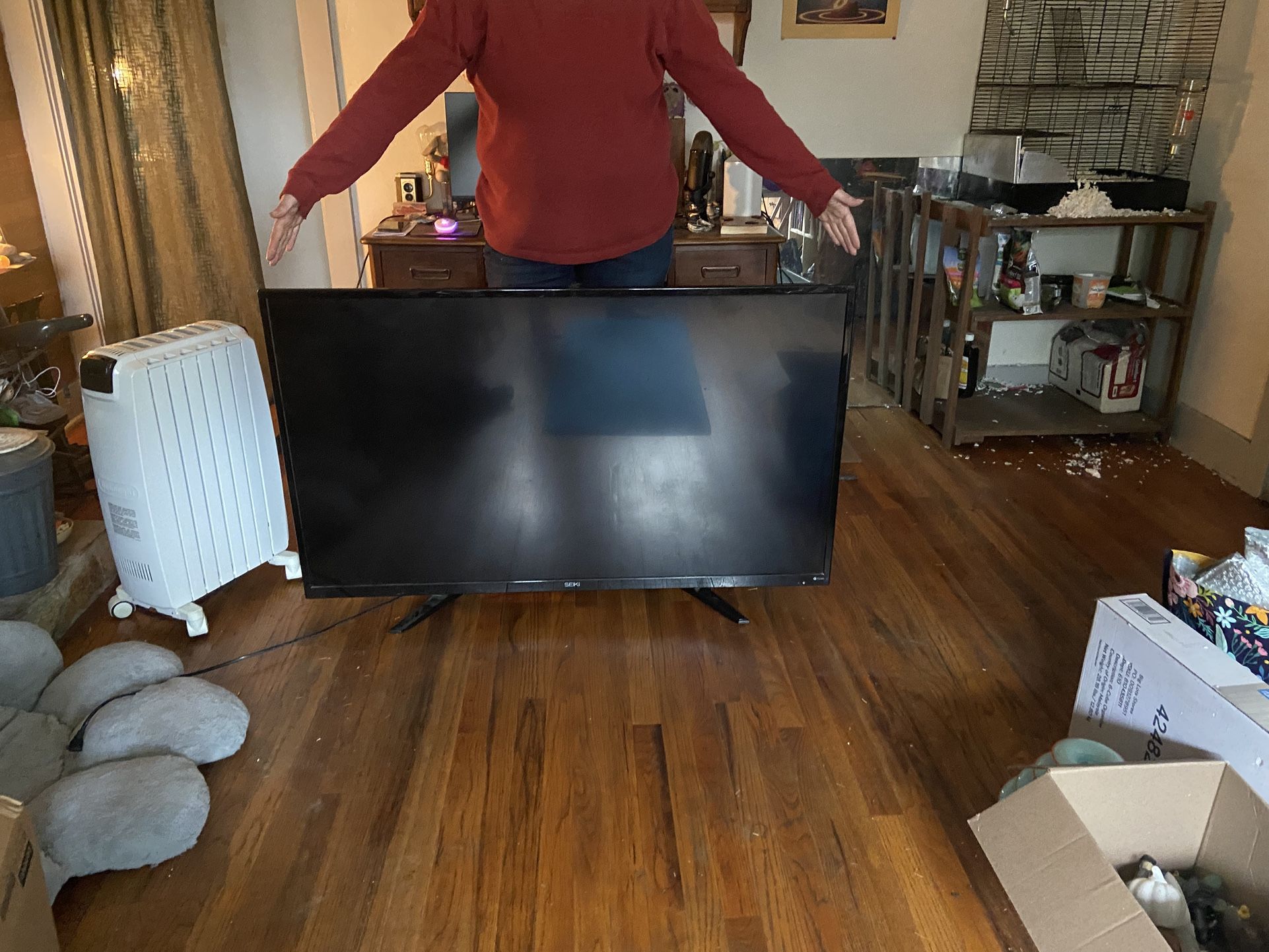 55 Inch Flat Screen Television w/remote