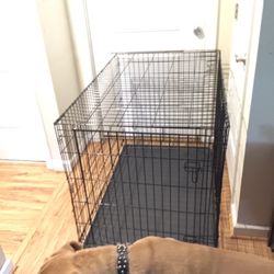 Larg Dog Cage