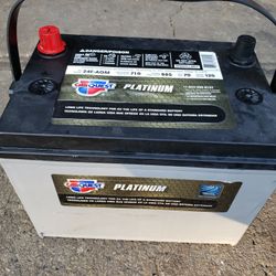 Carquest Platinum AGM Car Truck Battery Group 24F