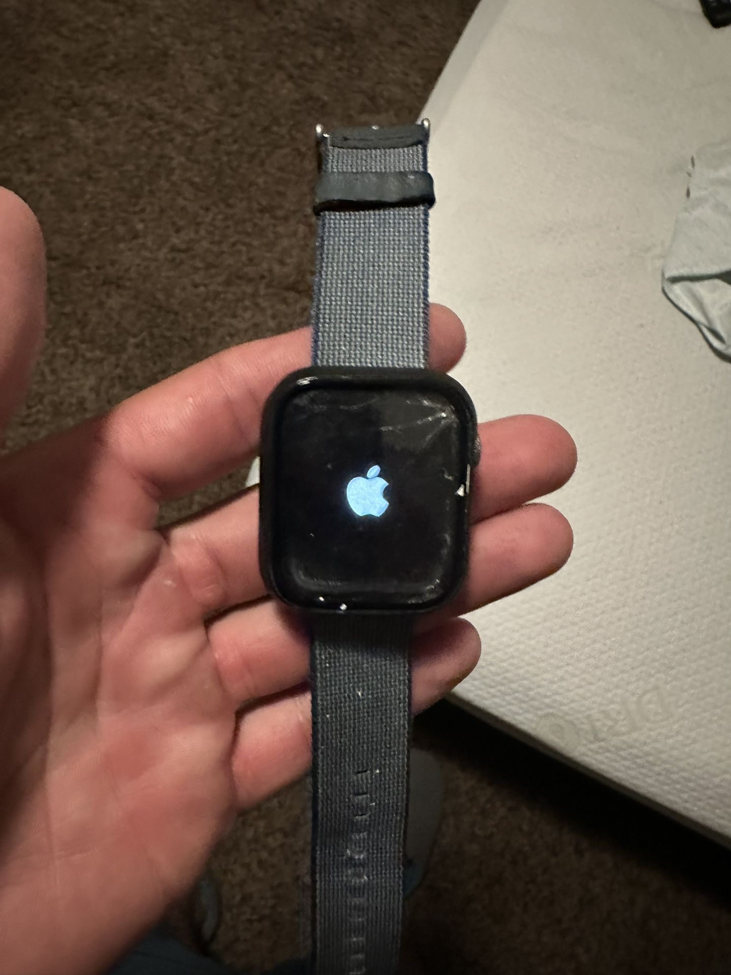 Series 5 Apple Watch