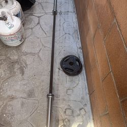 Barbell with 2 plates