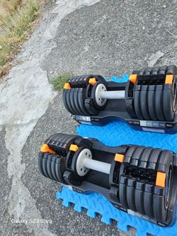 Dumbells Weights 55lbs