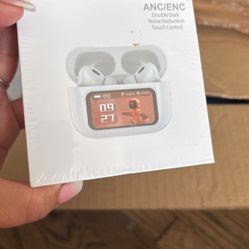 Earphones 