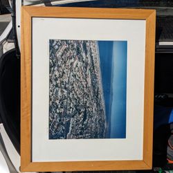 Frame With Matte Board 18 X 24 Ish