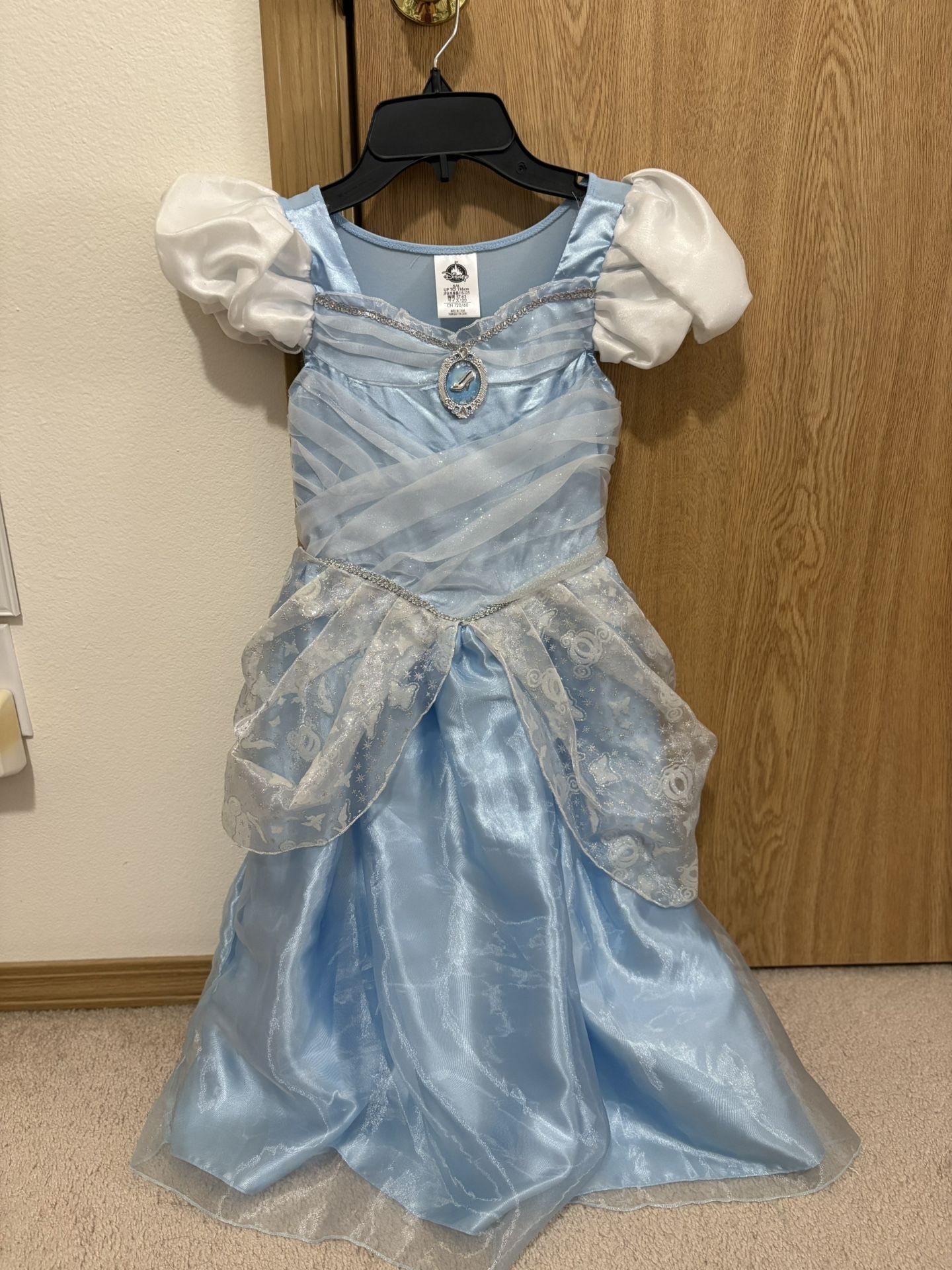 Cinderella Costume and Crown