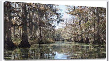 Canvas Wall Decor, Wall Art