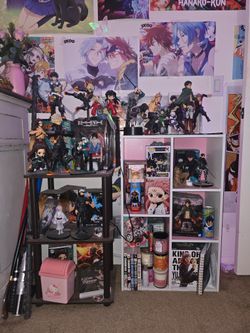 HUGE Anime Collection 