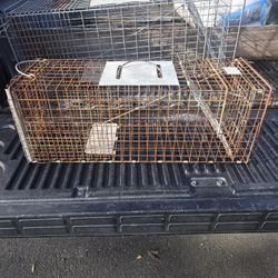 Live Animal Traps 