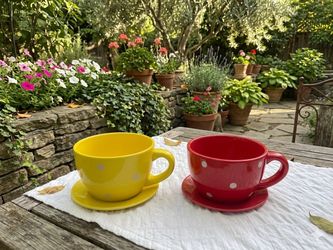 Oversized Ceramic Polka Dot Teacup and Saucer (Set of 2)