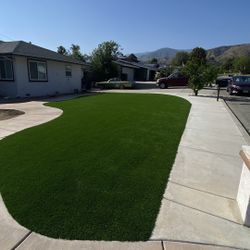 Artificial Green Grass 