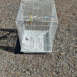 Bird Cage 