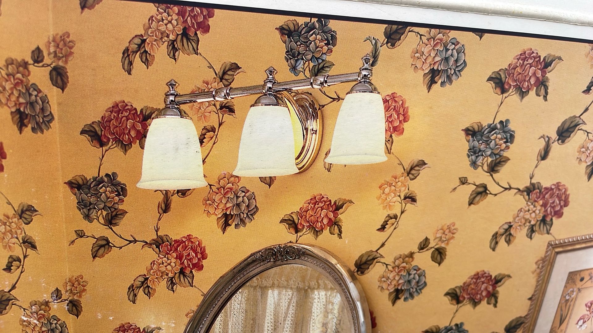 Light Fixture $15