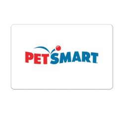 Anything from Petsmart 50% Off