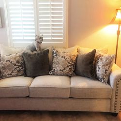 White - Cream  Sleeper Sofa 