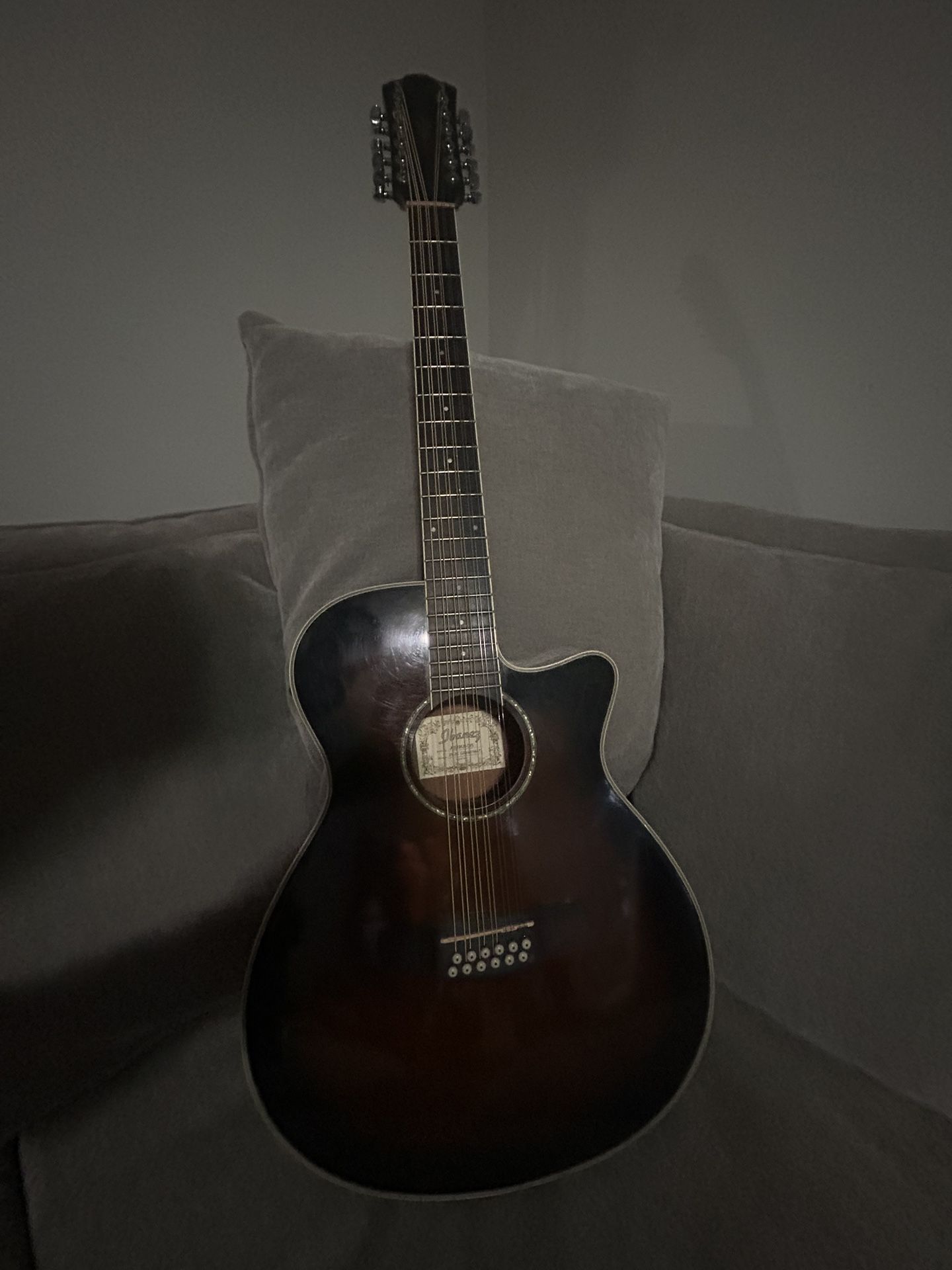 Ibanez 12 String Acoustic Electric Guitar