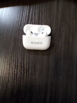 Sonny Air Buds
