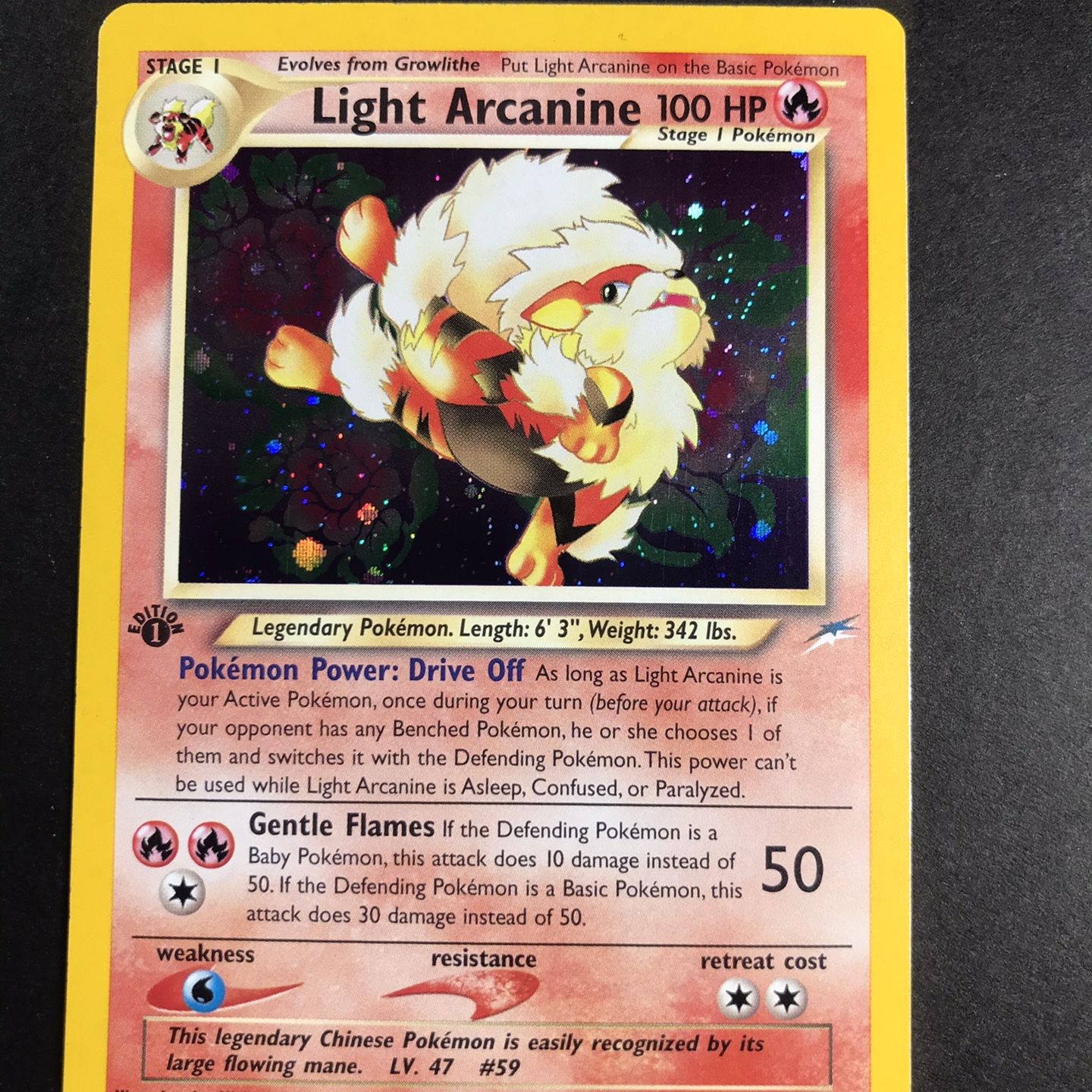 pokemon go booster box english Pokmon Go Booster Pack English  TheCollectorsParadise