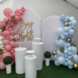 Baby Gender Revel