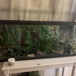 Tank for reptiles (everything included)