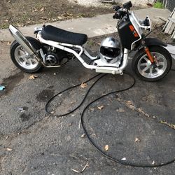 HONDA  RUCKUS  150cc  65 Mph Plus 