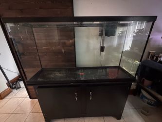 55g Tall tank w/stand