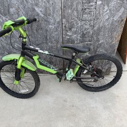 20” Bike 