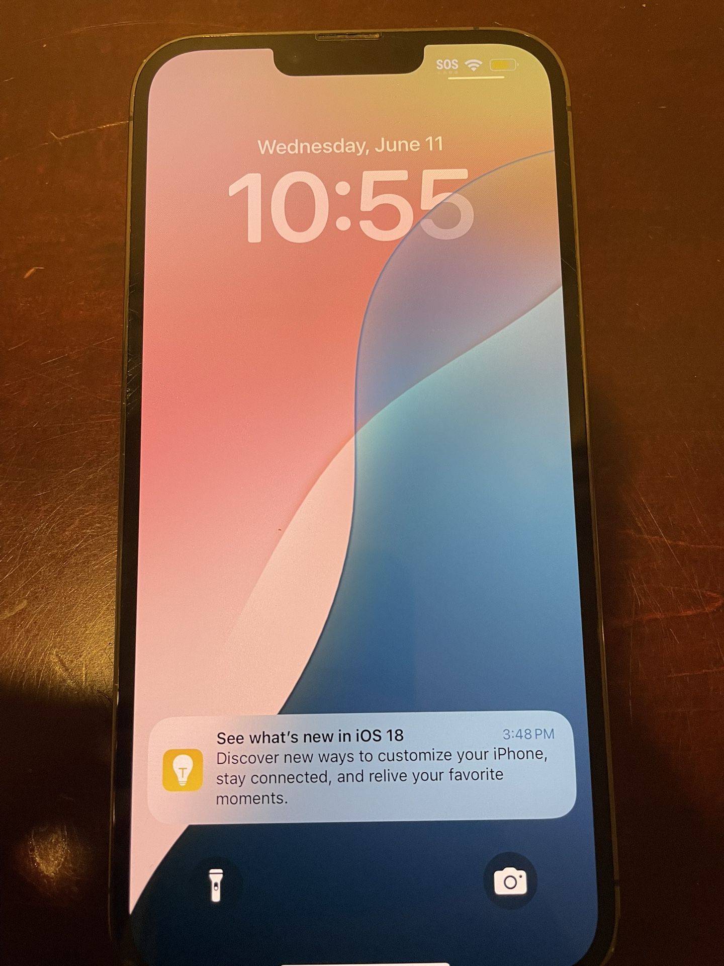 iPhone 13 Pro Max 256 GB Unlocked!