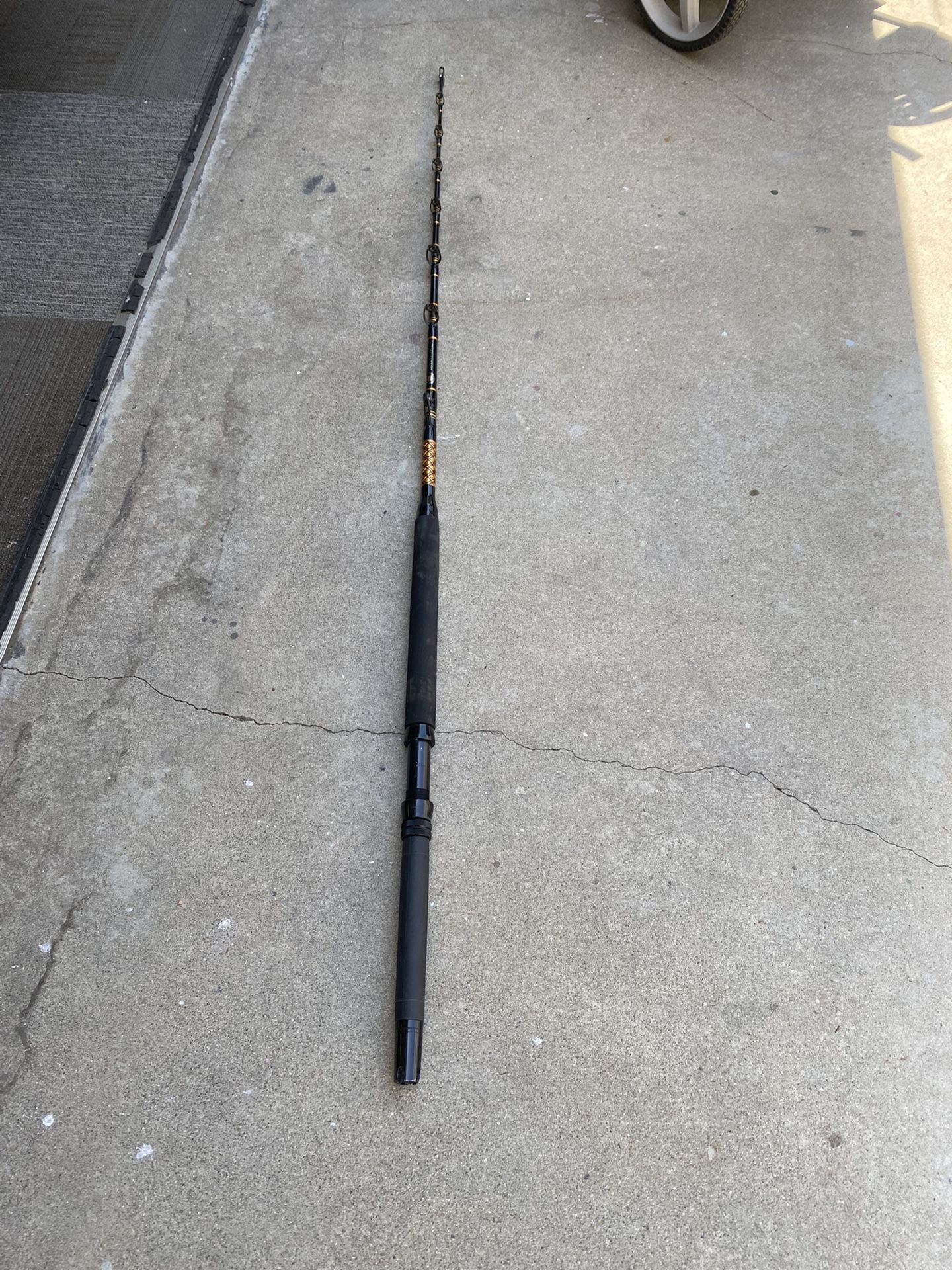 Penn International 6’ Rod