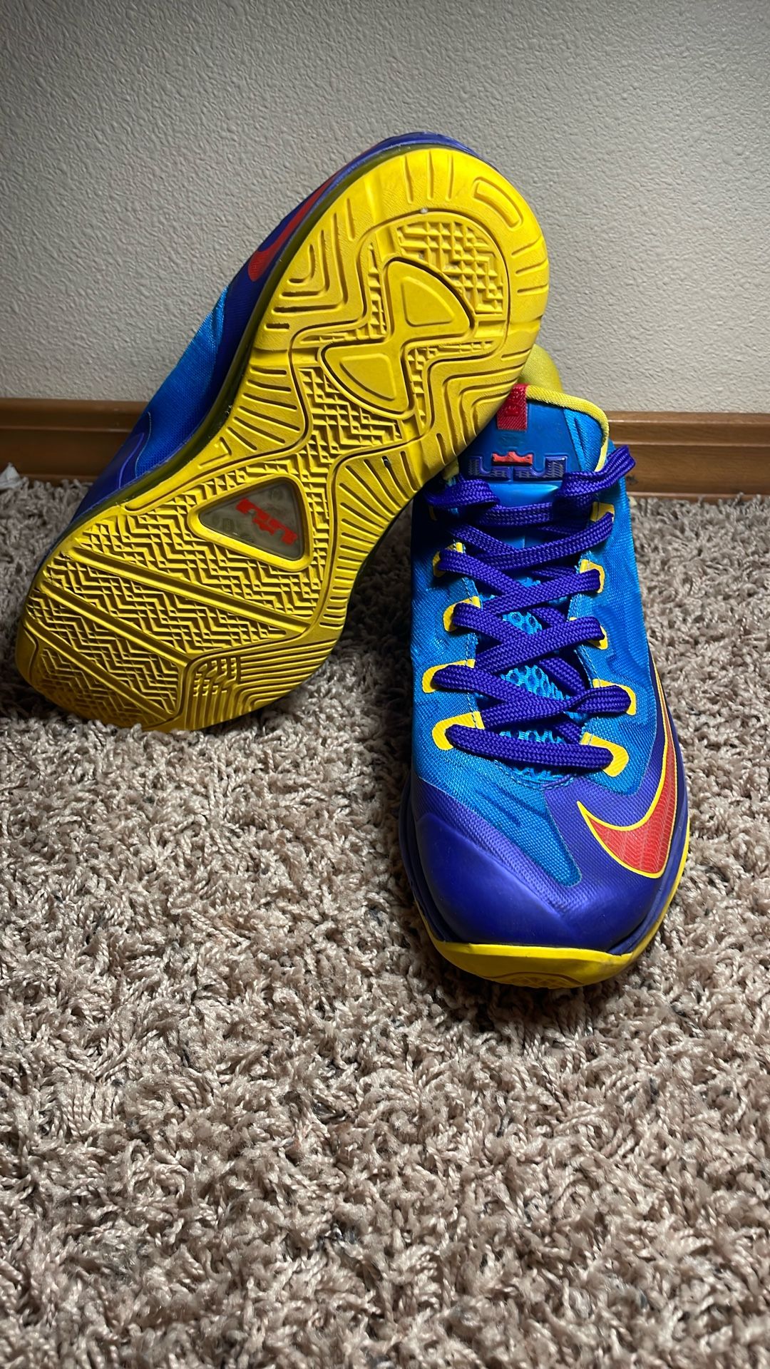 LeBron Basketball Shoes