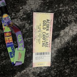 Beyond wonderland @ The Gorge Package 