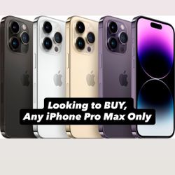Any iPhone Pro Max 