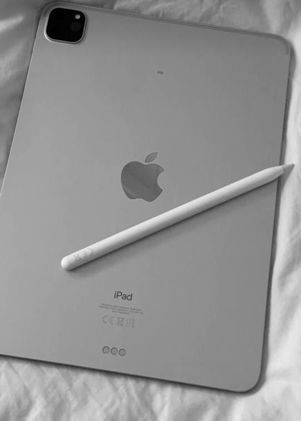 iPad Pro M4 13inch Screen