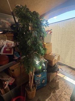 Large Artificial Ficus Tree in Basket