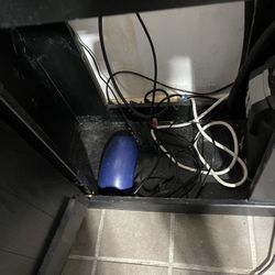 55 Gallons Fish Tank