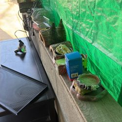 Reptile Necessities 