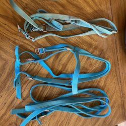 Nylon Western Bridles 