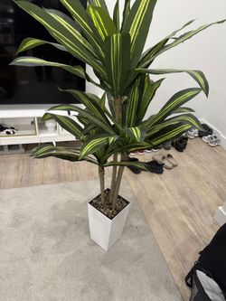 Plant Decor 5ft Artificial