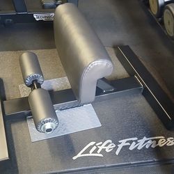 Legend Fitness Sissy Squat, Life Fitness Hammer Strength Ivanko Gym Exercise Equipment