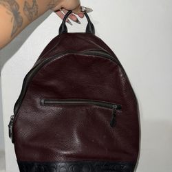 Brown Men’s Coach Book bag 