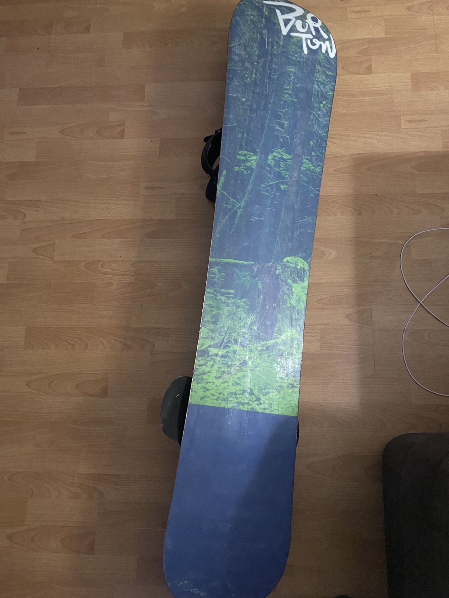 Burton Modified Fish 161 for Sale in San Diego, California - OfferUp