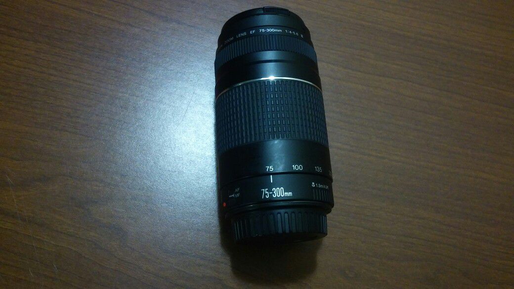 Canon EF 75-300 mm lens