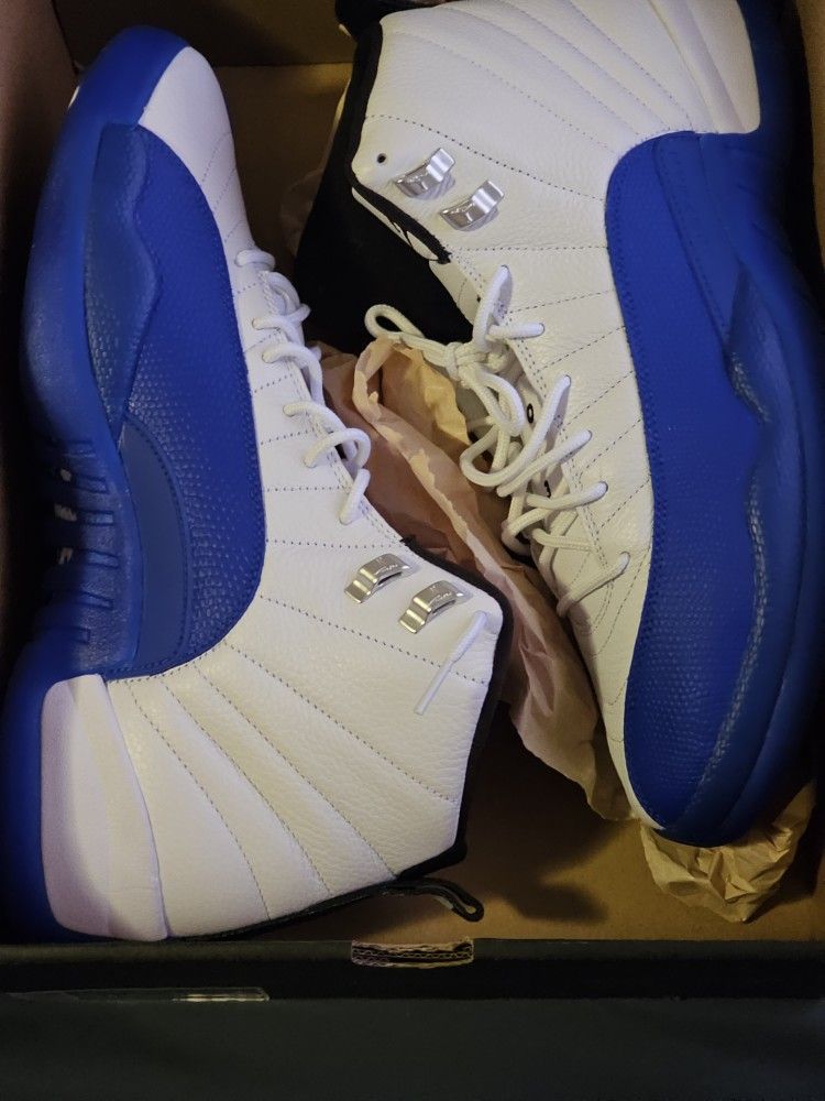 Air Jordan 12 Retro Blueberry